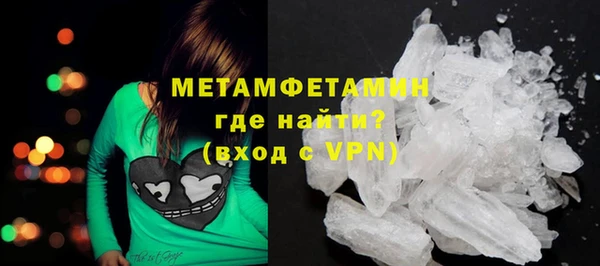 прущие грибы Белокуриха