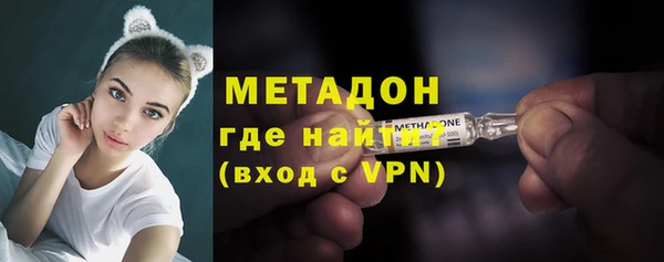 прущие грибы Белокуриха
