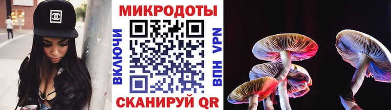 Псилоцибиновые грибы Psilocybe  Бодайбо 